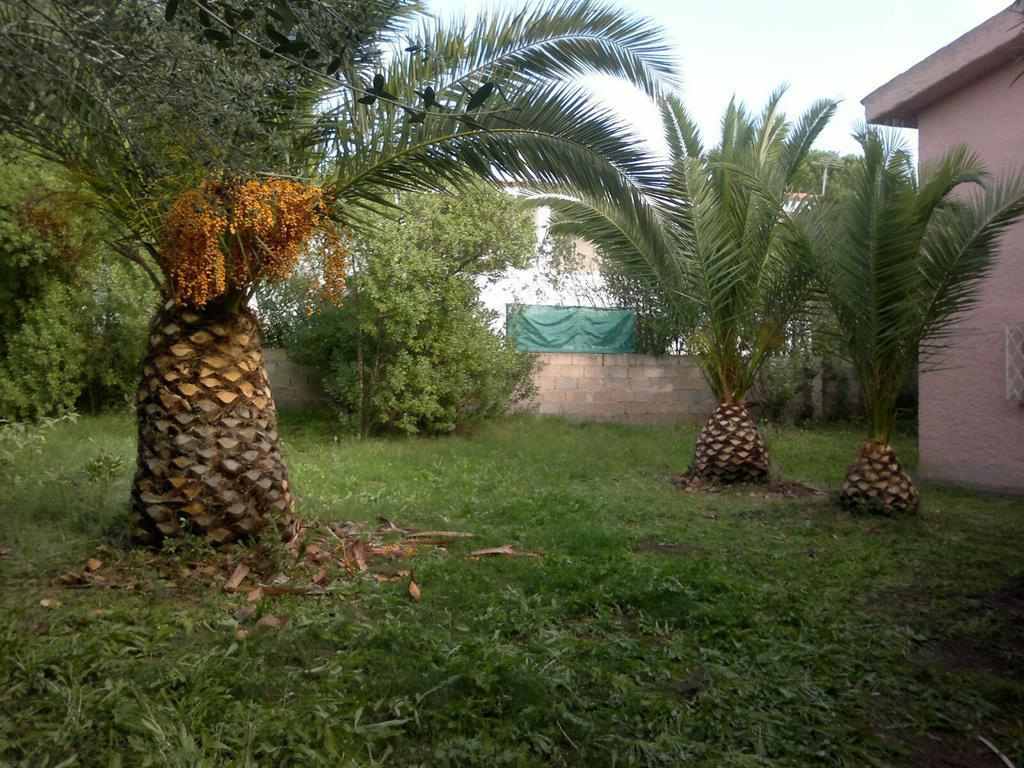 Il Fenicottero Rosa Villa Olbia Exteriör bild