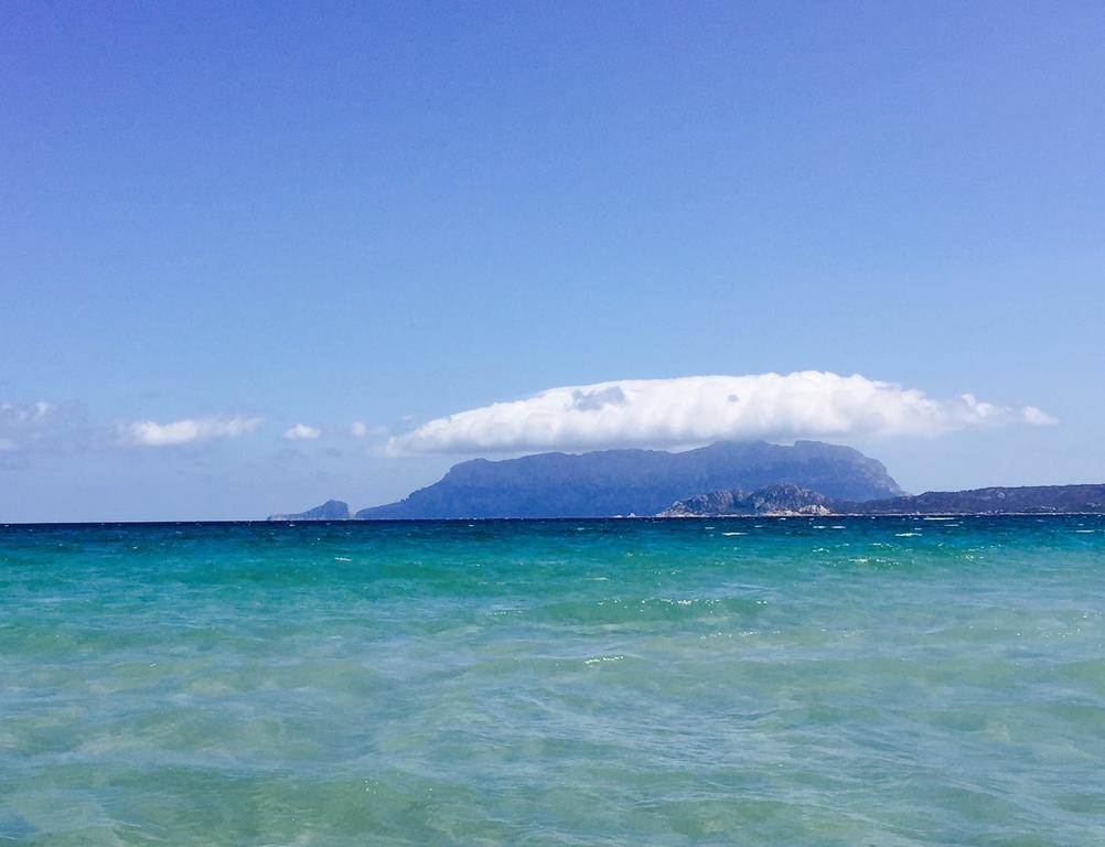 Il Fenicottero Rosa Villa Olbia Exteriör bild