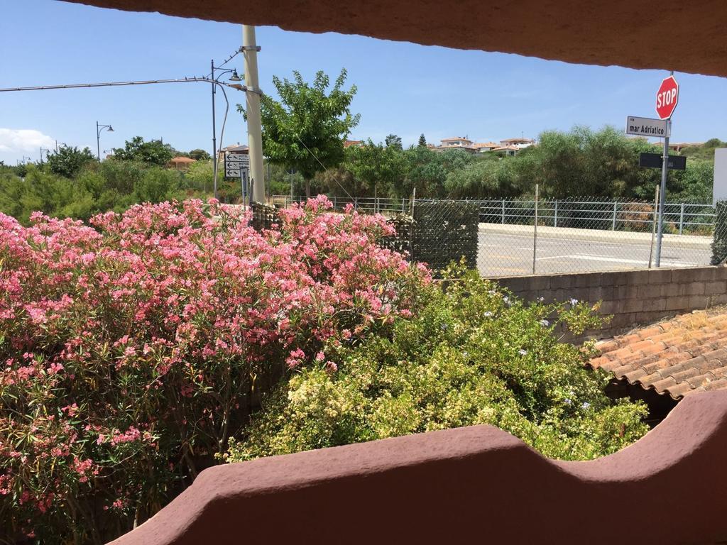 Il Fenicottero Rosa Villa Olbia Exteriör bild