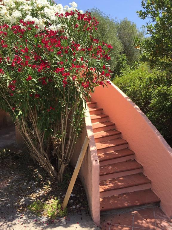 Il Fenicottero Rosa Villa Olbia Exteriör bild
