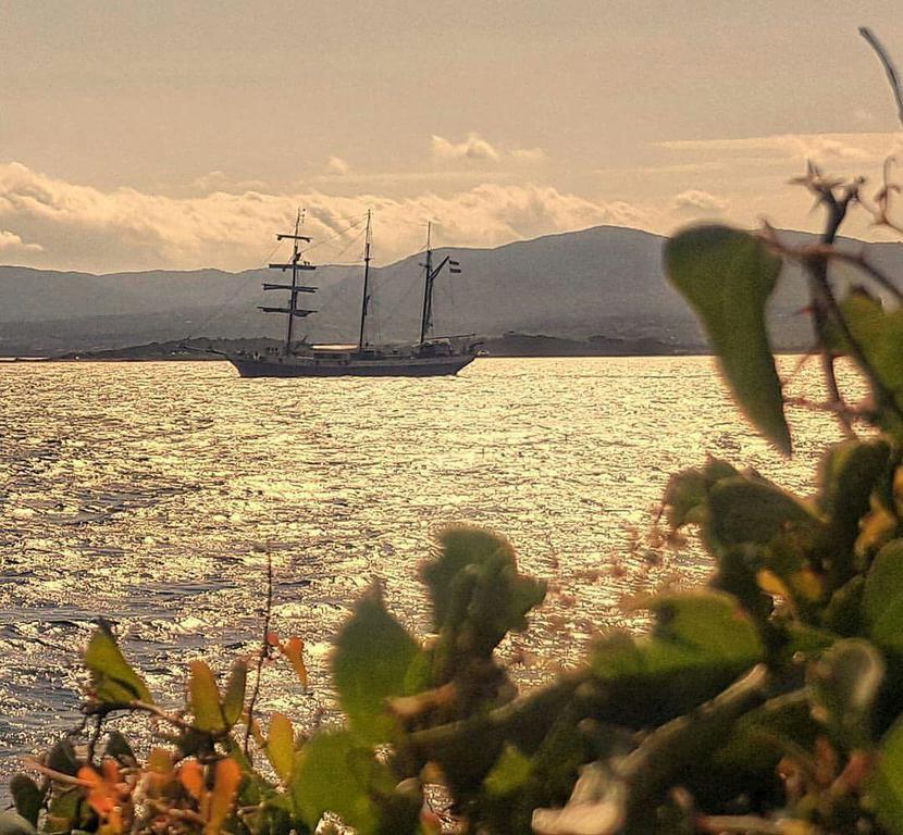 Il Fenicottero Rosa Villa Olbia Exteriör bild