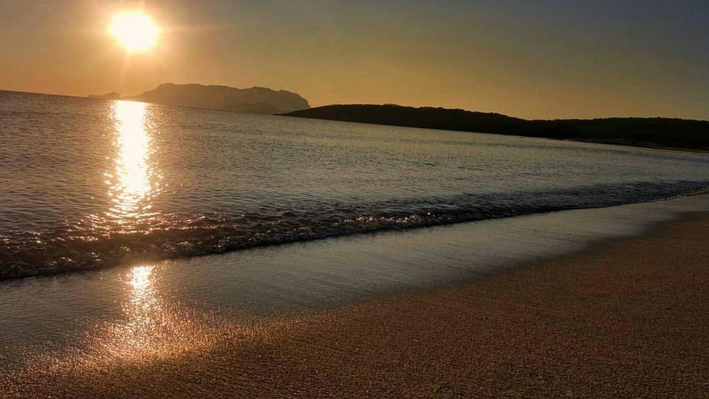 Il Fenicottero Rosa Villa Olbia Exteriör bild